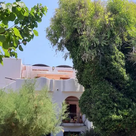 L'eucalipto Nyaraló