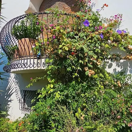 L'eucalipto Nyaraló