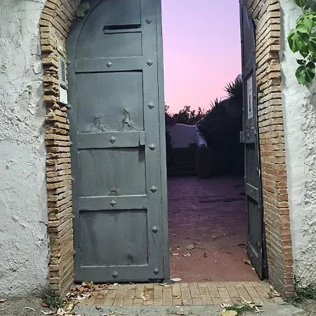 L'eucalipto Pontecagnano