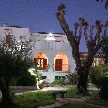 L'eucalipto Nyaraló Pontecagnano