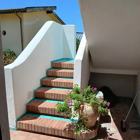 L'eucalipto * بونتيكانيانو