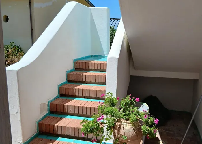 L'eucalipto * Pontecagnano