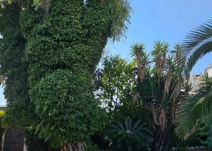 L'eucalipto Casa de Férias