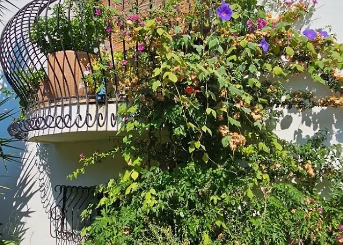 L'eucalipto Casa de Férias