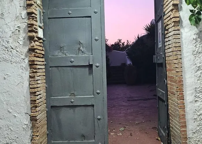 L'eucalipto Pontecagnano